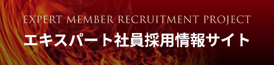 エキスパート採用サイト