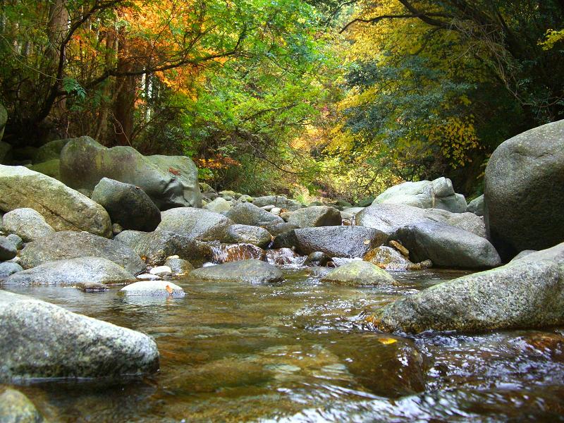 鈍川渓谷