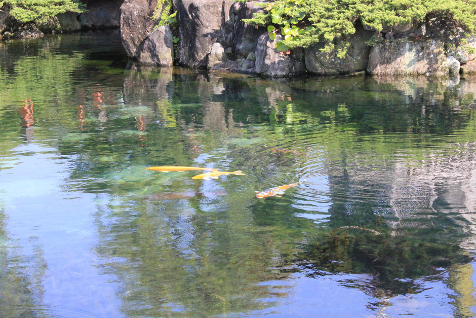 南高井　杖ノ淵公園