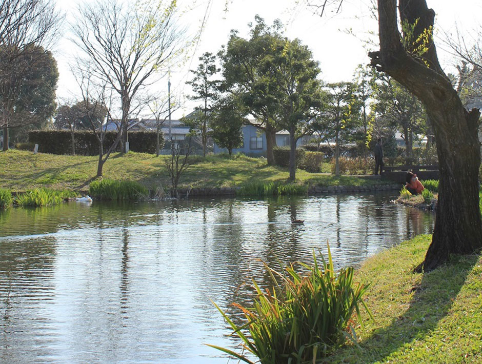 松前町　ひょこたん池