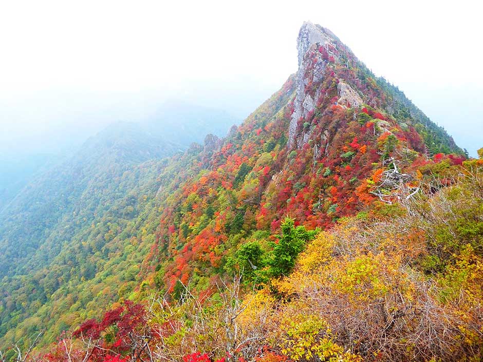 紅葉の石鎚山（西条市・久万高原町）